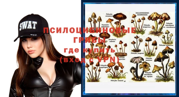 дурь Лабытнанги