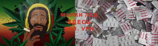 дурь Лабытнанги