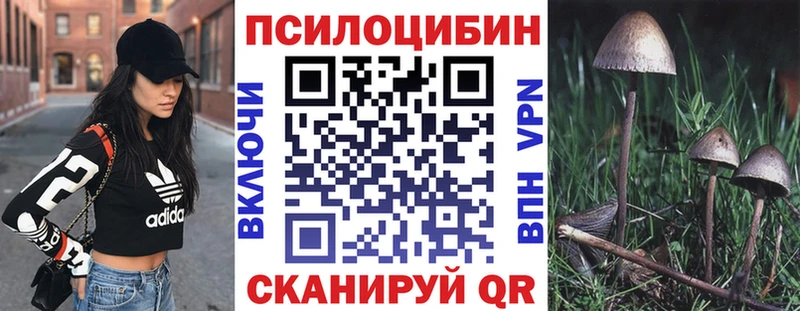 Купить где  Лесосибирск  Псилоцибиновые грибы Magic Shrooms 