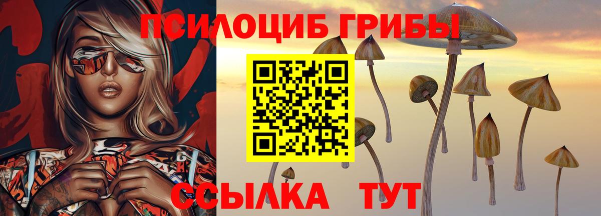 Галлюциногенные грибы Psilocybe  цены наркотик  Псилоцибиновые грибы мицелий  Лесосибирск  Вход с VPN 